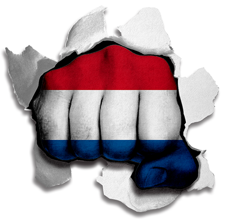 Fist Netherlands Flag Logo vinyl decal